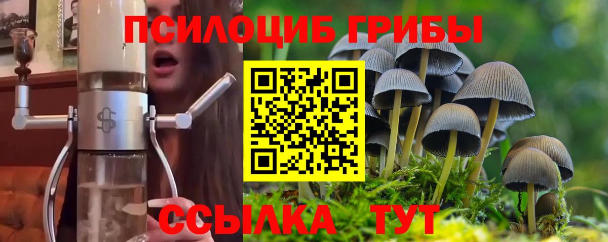 Галлюциногенные грибы Magic Shrooms Ейск